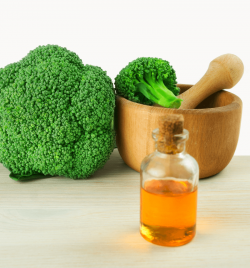 Après Shampoing Solide BIO