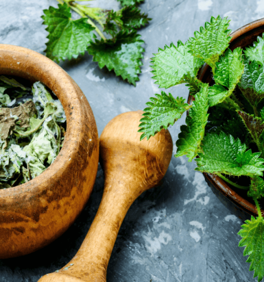 Shampoing Solide BIO Sentier Vert