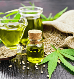 Shampoing Solide BIO Sentier Vert