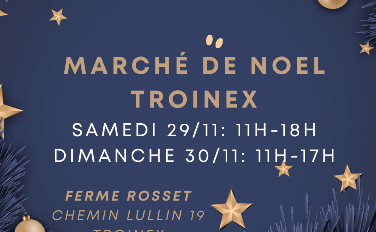 Marché de Noel à Troinex 29-30 Novembre