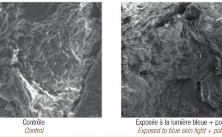 La photopollution c'est quoi?